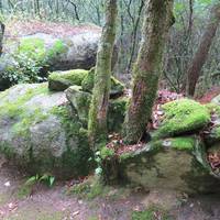 Site archeologique de Cucuruzzu