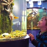 Riverwatch Aquarium and Visitor Centre