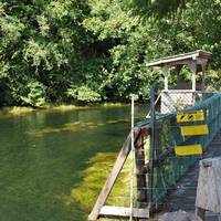 Thornton Creek Hatchery
