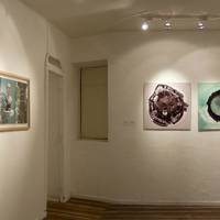 No Lugar, Plataforma de Arte Contemporaneo