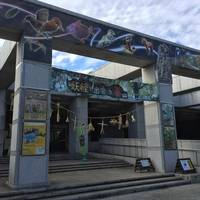 Natural History Museum and Institute