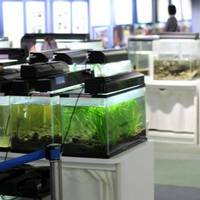 Environmental Museum of Water