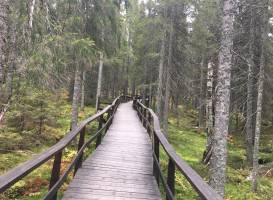 Skuleskogen Nationalpark