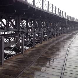 Muelle del Tinto