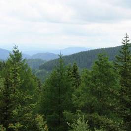 Rennsteiggarten Oberhof