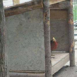 Zoo Ramnicu Valcea
