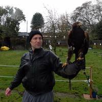 Sharandys Birds of Prey