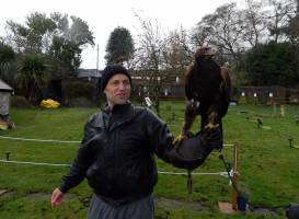 Sharandys Birds of Prey