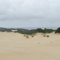 Henty Dunes