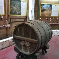 Cantina Albea winery and museum
