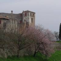 Castello San Salvatore