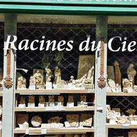 Les Racines du Ciel