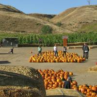 Lombardi Ranch