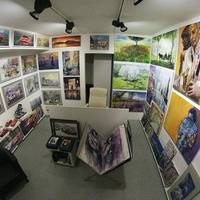Shevchuk Art Gallery