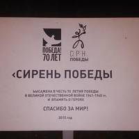 Комсомольский Сад