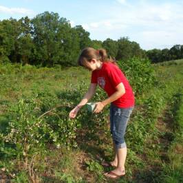 Cox Berry Farm & Nursery
