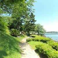 Hiji Castle Ruin