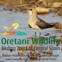 Oretani Wildlife - Day Private Tours