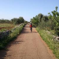 Puglia in Movimento
