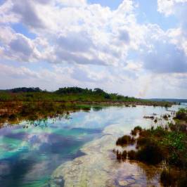 Stromatolites in Bacalar Rapids