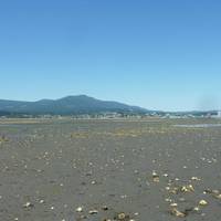 Jack Point and Biggs Park
