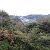 Tsuzuki Shrine