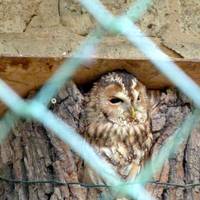 Tierpark Gotha