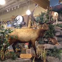 The Shoppes at Gateway