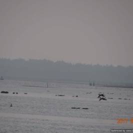 Chilika Wildlife Sanctuary