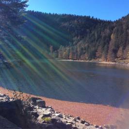Le Lac des Corbeaux
