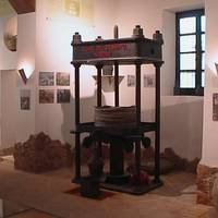 Museo del Aceite de Oliva Castillo de Tabernas