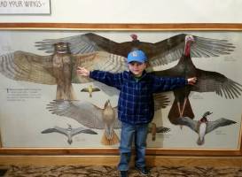 Dorothy Pecaut Nature Center