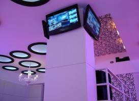 Sophie Cafe