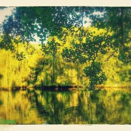 Malvern and Brueton Park