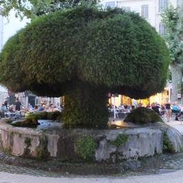 Fontaine Moussue