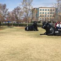 Reclining Bulls Statue