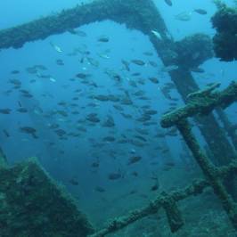 Poseidon Calella