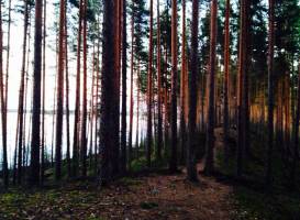 Leivonmaki National Park