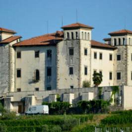 The Dobrovo Castle