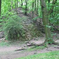 Bednarski Park