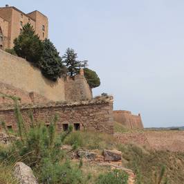 Castillo de Cardona, Conjunto