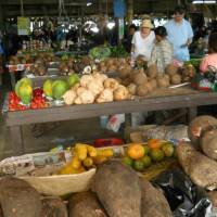 Savusavu Farmers' Market