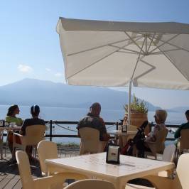 Kiwi-Bar