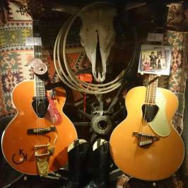 Guitars the Museum
