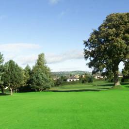 Mold Golf Club