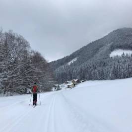 Langlaufloipen Faistenau