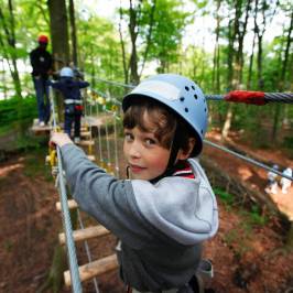 Fun Forest - Venlo