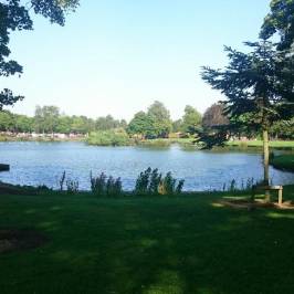 The Kay Park