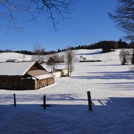 Museum Burg Zug