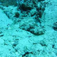 Scuba Do Zanzibar